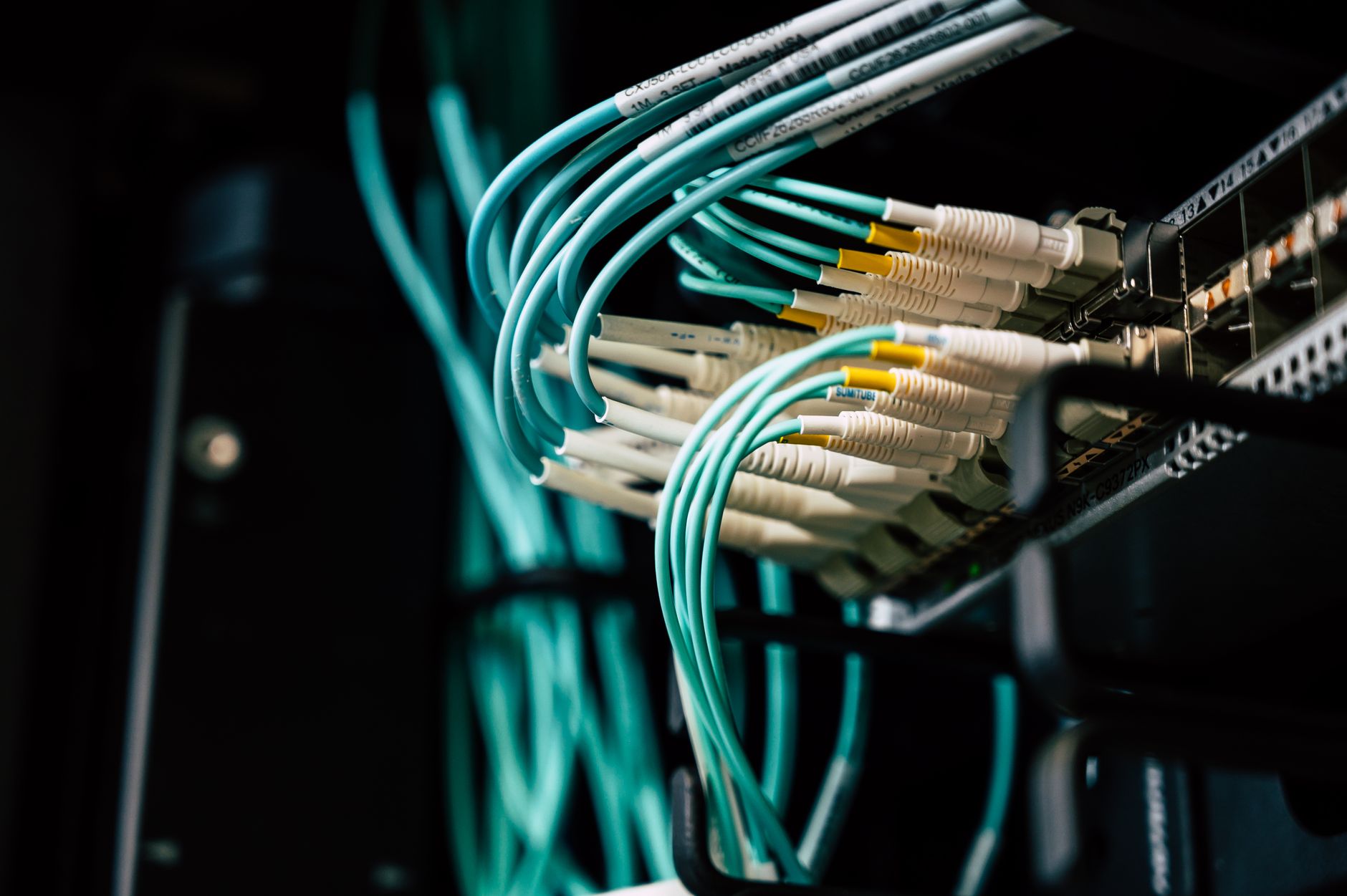 Kable sieciowe podłączone do szafy serwerowej w centrum danych