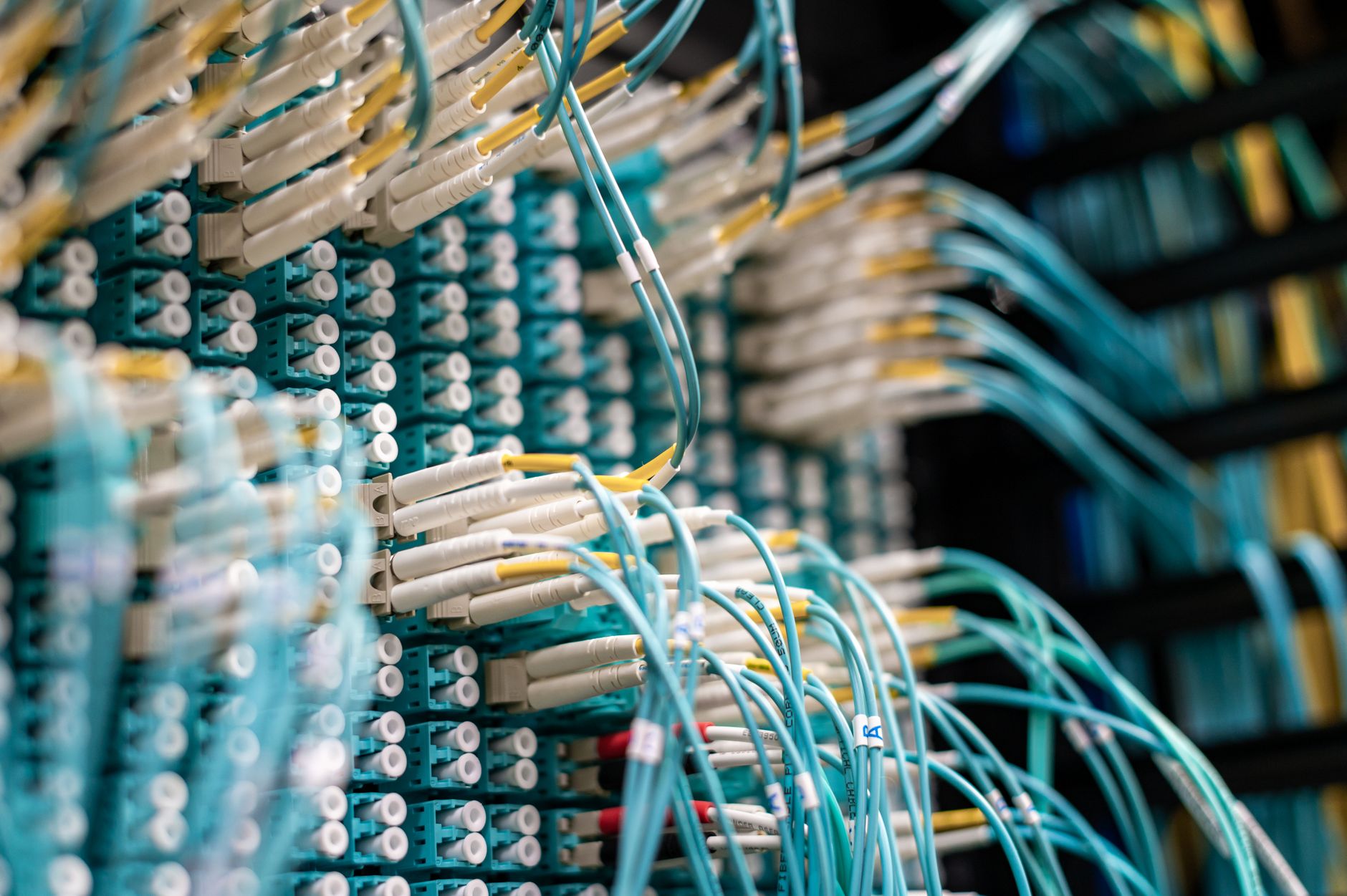 Niebieskie kable sieciowe podłączone do białych złączy w centrum danych